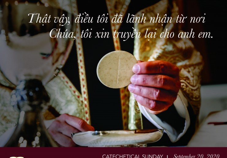 Catechetical Sunday Cover Image 2020 - Vietnamese