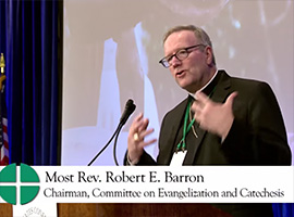 usccb-general-assembly-2019-screenshots-23-montage